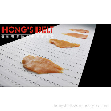 Meat Industry Modular Conveyor Belt (HS-200A)
